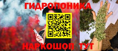 МДПВ Старая Купавна