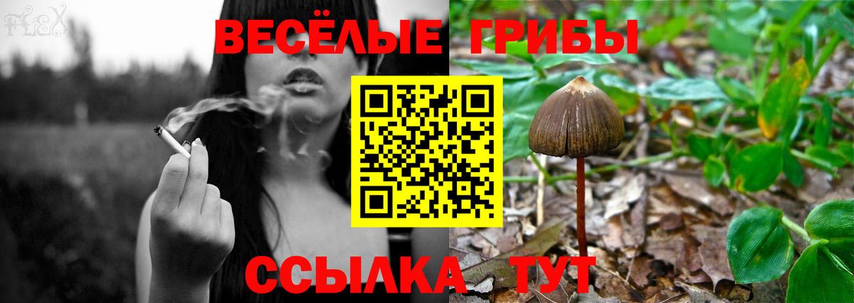 Псилоцибиновые грибы MAGIC MUSHROOMS  Вход с VPN  Лесозаводск 